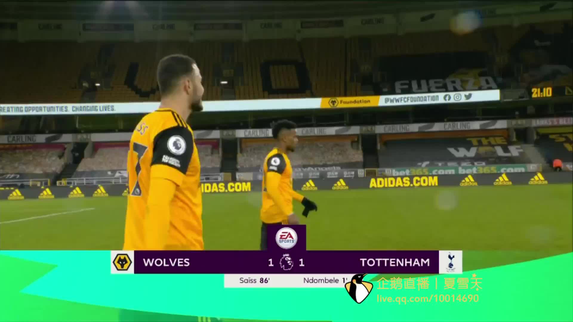 都是球迷们 都是球迷们