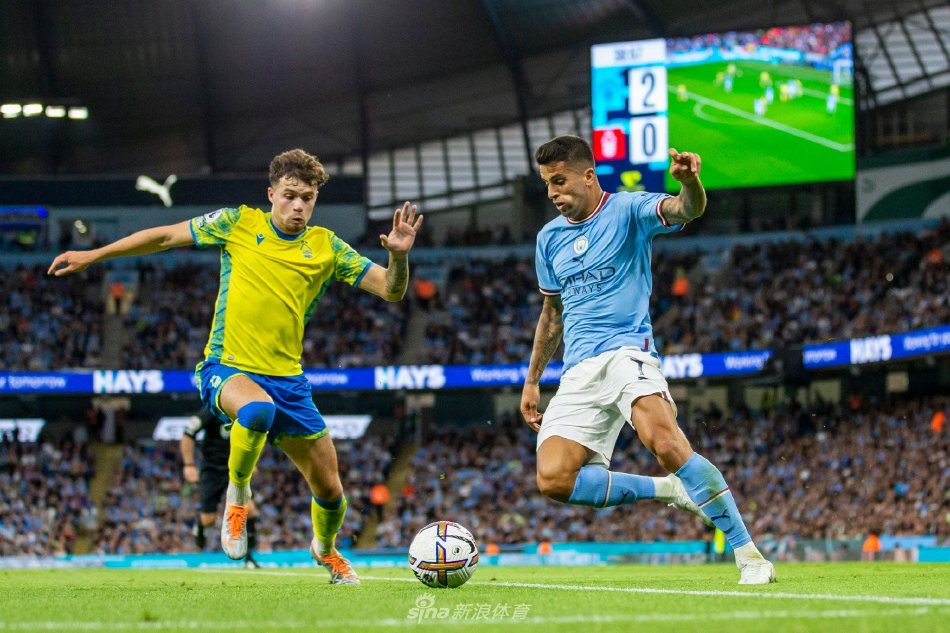 常常会根据 常常会根据